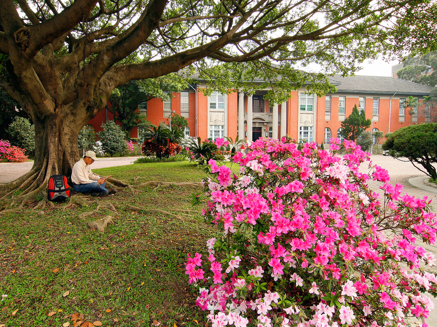 “The Beauty of NTU” Photography Contest (Photo by Wu Qiu-Ju, 2010)