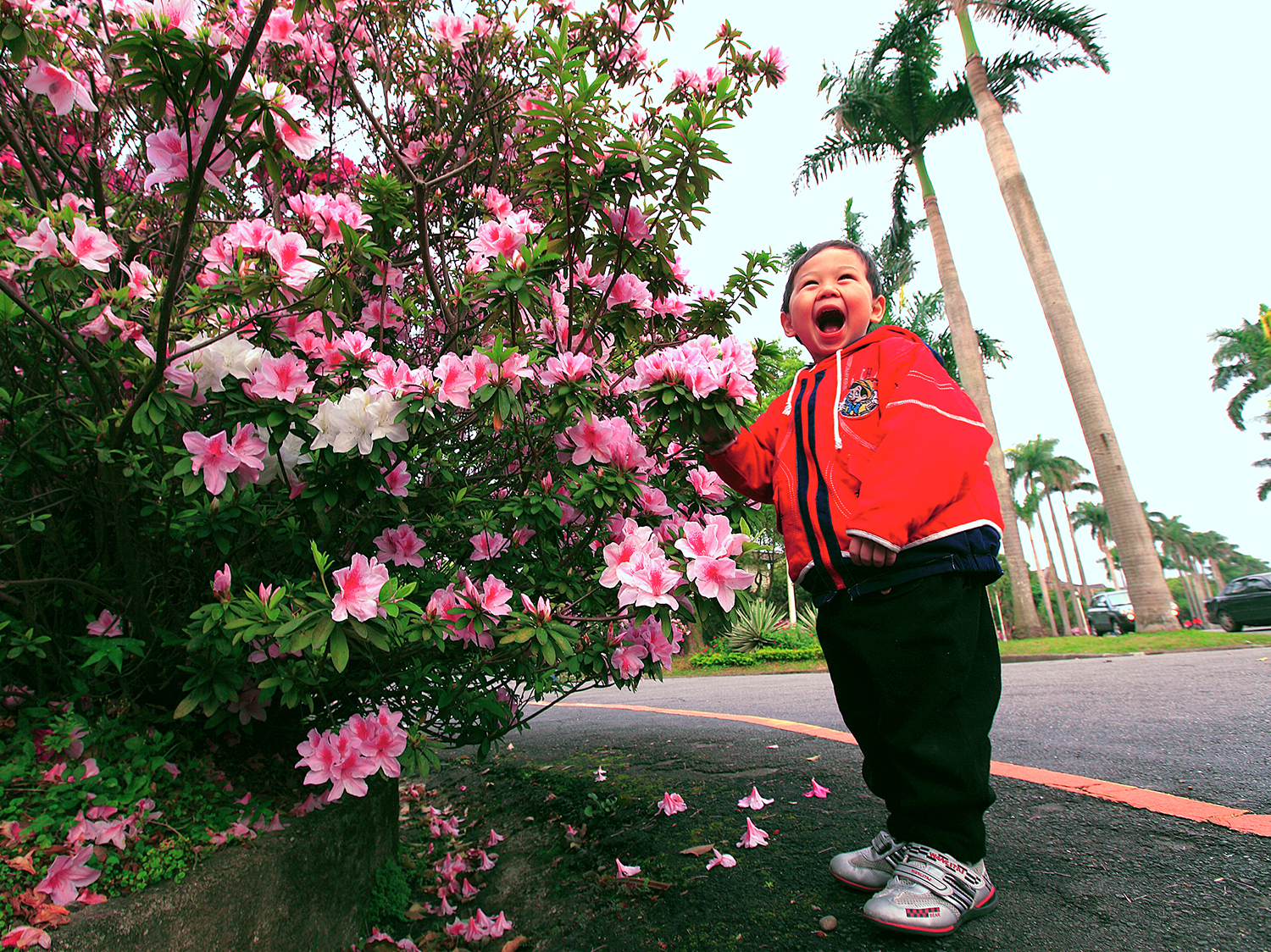 “The Beauty of NTU” Photography Contest (Photo by Ren Tai-Sheng) 