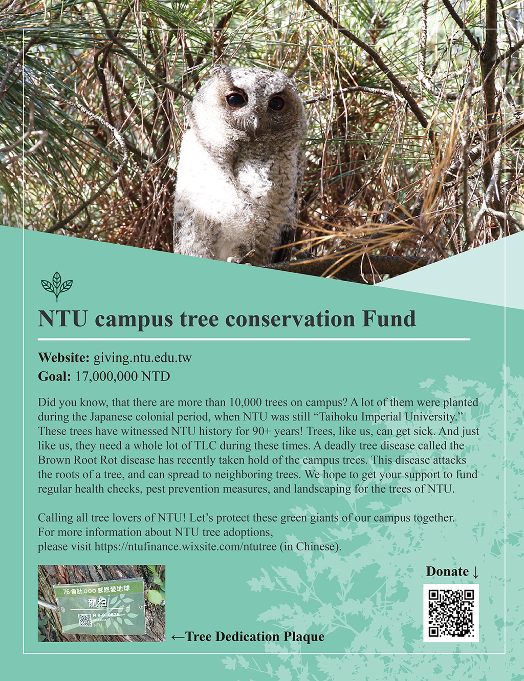 NTU Campus Tree Protection Program